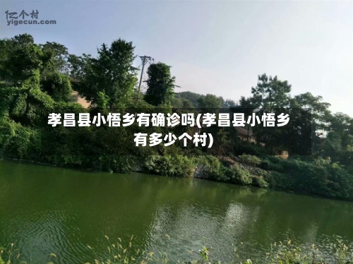 孝昌县小悟乡有确诊吗(孝昌县小悟乡有多少个村)