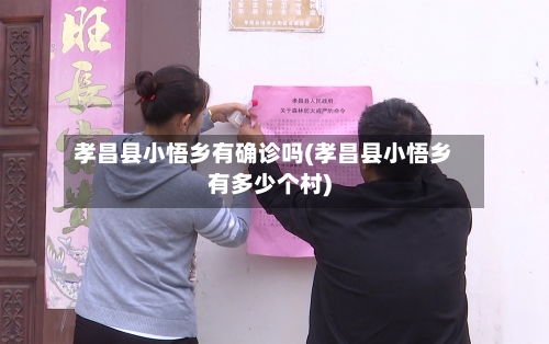孝昌县小悟乡有确诊吗(孝昌县小悟乡有多少个村)-第2张图片
