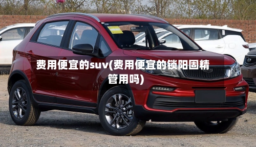 费用便宜的suv(费用便宜的锁阳固精管用吗)