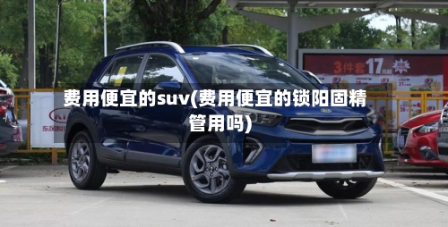 费用便宜的suv(费用便宜的锁阳固精管用吗)-第2张图片
