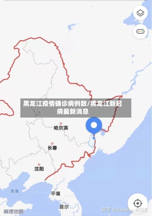 黑龙江疫情确诊病例数/黑龙江新冠病最新消息-第2张图片