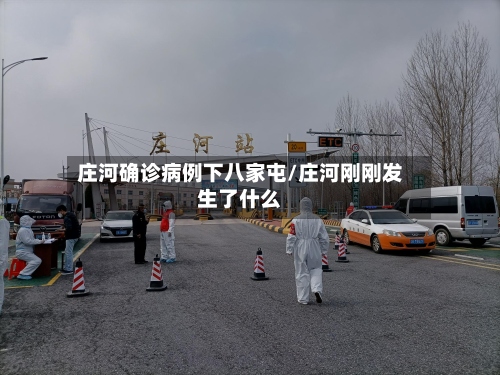 庄河确诊病例下八家屯/庄河刚刚发生了什么