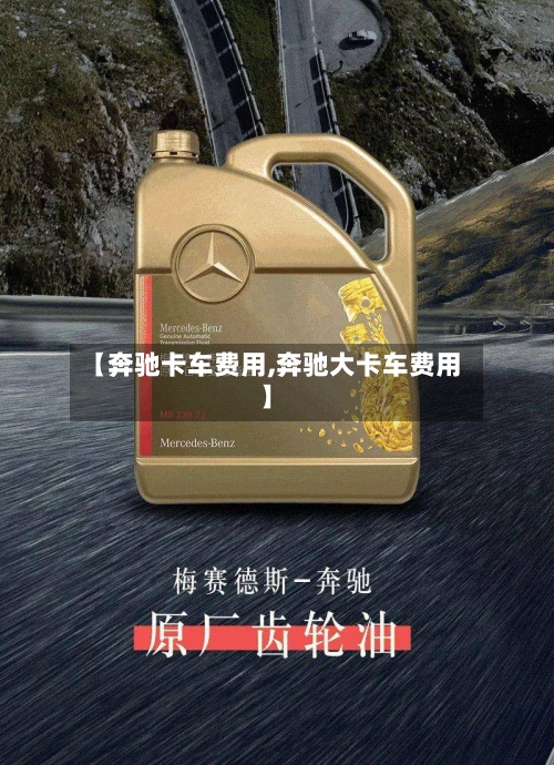 【奔驰卡车费用,奔驰大卡车费用】
