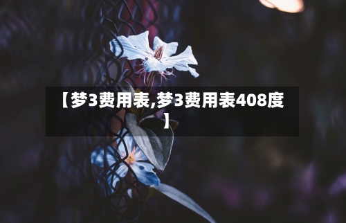 【梦3费用表,梦3费用表408度】-第2张图片