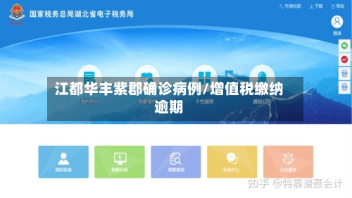 江都华丰紫郡确诊病例/增值税缴纳逾期-第2张图片