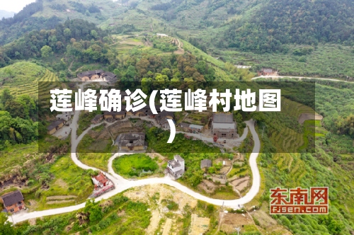 莲峰确诊(莲峰村地图)