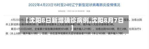 【沈阳8日新增确诊病例,沈阳8月7日】-第2张图片