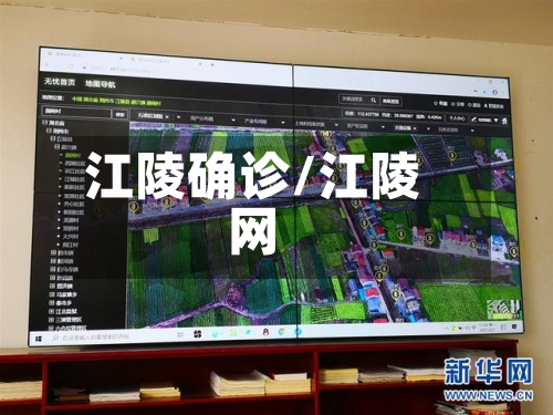 江陵确诊/江陵网