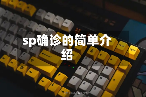sp确诊的简单介绍
