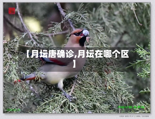 【月坛唐确诊,月坛在哪个区】