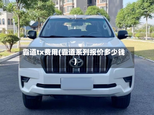 霸道tx费用(霸道系列报价多少钱)-第2张图片
