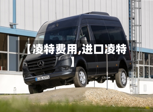 【凌特费用,进口凌特】-第2张图片