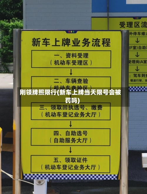 刚领牌照限行(新车上牌当天限号会被罚吗)-第2张图片