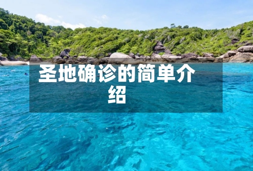圣地确诊的简单介绍