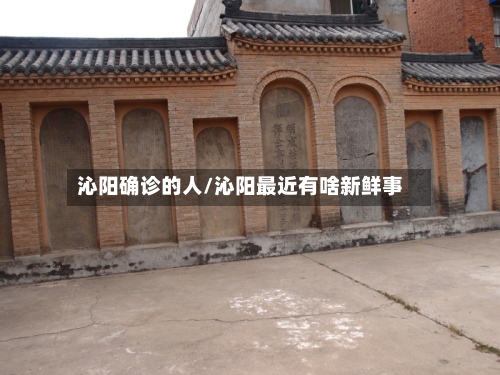 沁阳确诊的人/沁阳最近有啥新鲜事-第2张图片