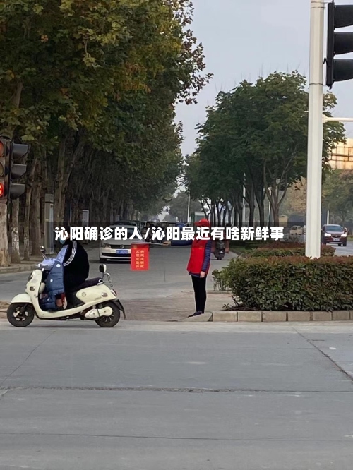 沁阳确诊的人/沁阳最近有啥新鲜事-第3张图片