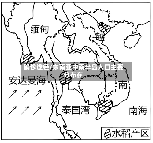 确诊途径/东南亚中南半岛人口主要分布在-第3张图片
