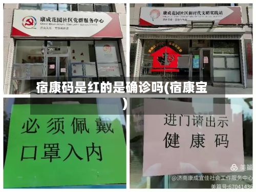 宿康码是红的是确诊吗(宿康宝)-第2张图片