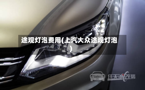 途观灯泡费用(上汽大众途观灯泡)-第2张图片