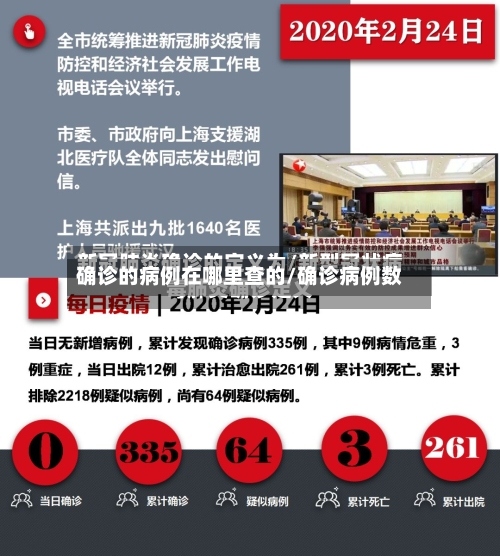 确诊的病例在哪里查的/确诊病例数-第2张图片