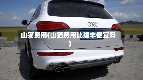 山猫费用(山猫费用比建丰便宜吗)-第2张图片