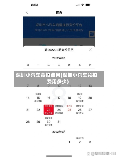 深圳小汽车竞拍费用(深圳小汽车竞拍费用多少)-第3张图片