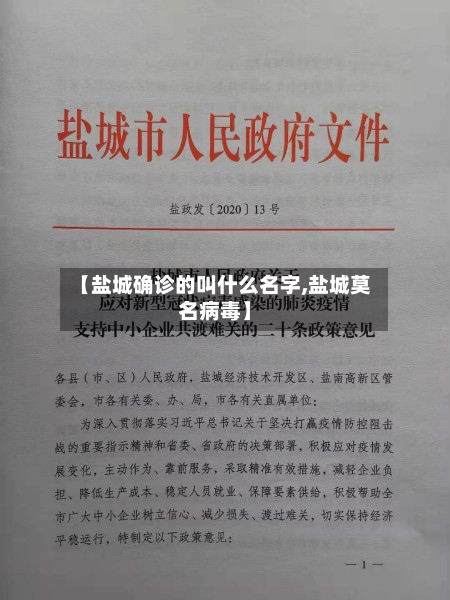 【盐城确诊的叫什么名字,盐城莫名病毒】-第2张图片