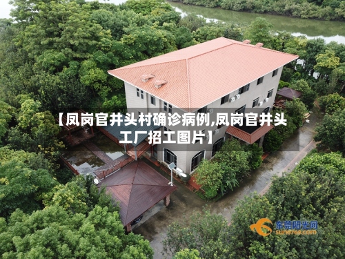 【凤岗官井头村确诊病例,凤岗官井头工厂招工图片】