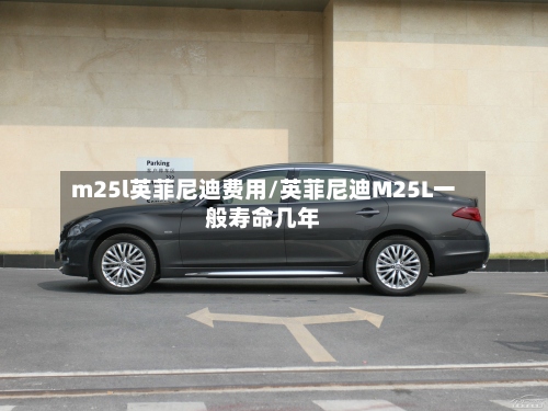 m25l英菲尼迪费用/英菲尼迪M25L一般寿命几年