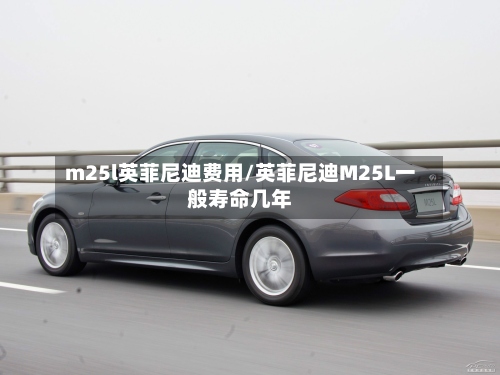 m25l英菲尼迪费用/英菲尼迪M25L一般寿命几年-第2张图片