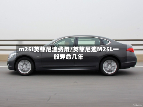 m25l英菲尼迪费用/英菲尼迪M25L一般寿命几年-第3张图片