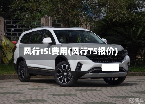 风行t5l费用(风行T5报价)