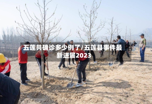 五莲共确诊多少例了/五莲县事件最新进展2023-第2张图片
