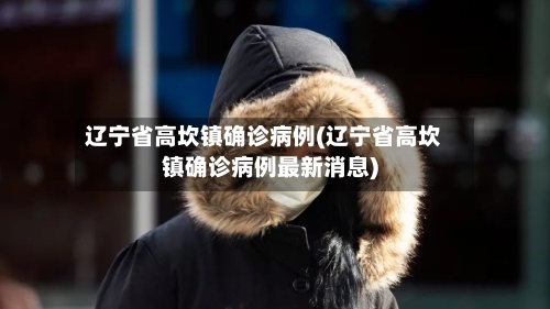 辽宁省高坎镇确诊病例(辽宁省高坎镇确诊病例最新消息)