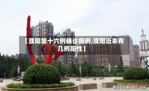 【濮阳第十六例确诊病例,濮阳近来有几例阳性】-第2张图片