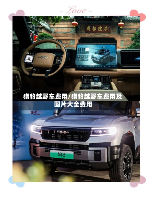 猎豹越野车费用/猎豹越野车费用及图片大全费用-第3张图片