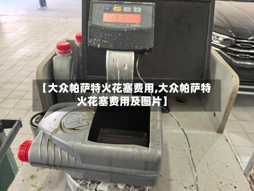 【大众帕萨特火花塞费用,大众帕萨特火花塞费用及图片】-第3张图片