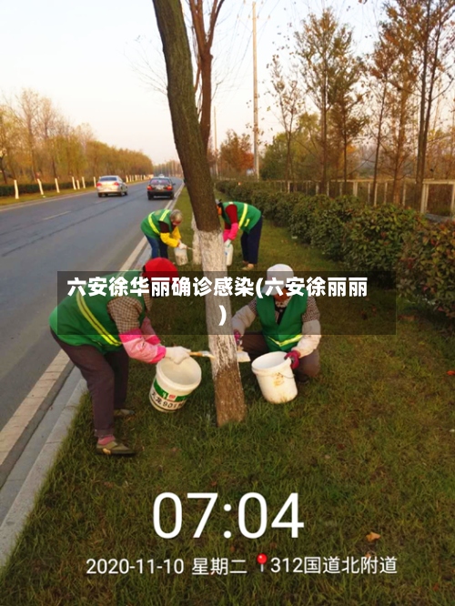 六安徐华丽确诊感染(六安徐丽丽)