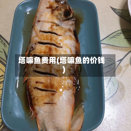 塔嘛鱼费用(塔嘛鱼的价钱)-第2张图片