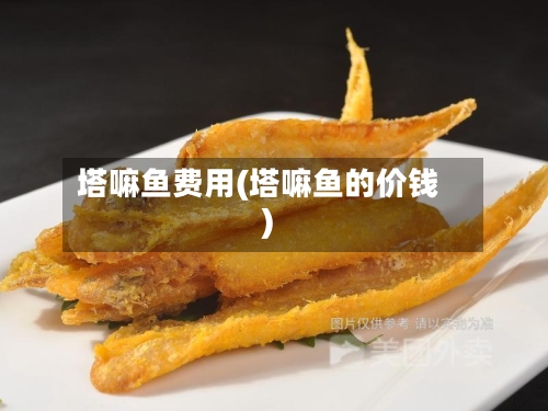 塔嘛鱼费用(塔嘛鱼的价钱)