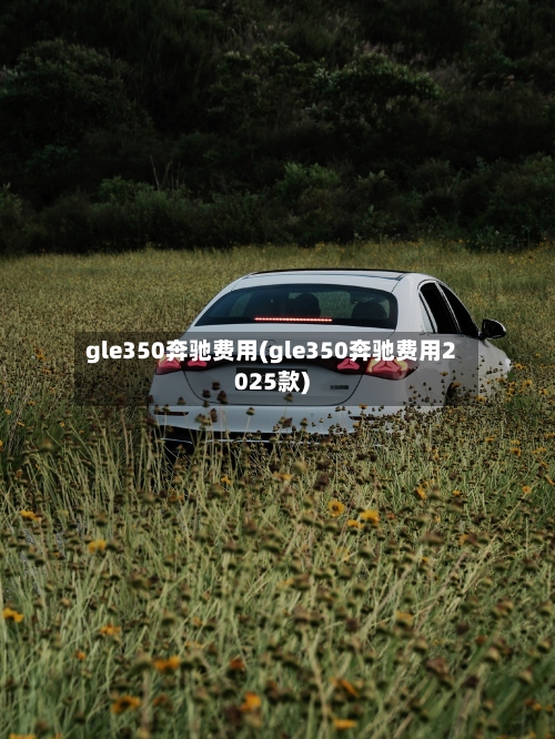 gle350奔驰费用(gle350奔驰费用2025款)-第2张图片