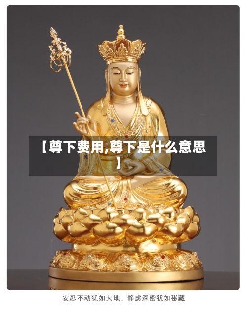 【尊下费用,尊下是什么意思】