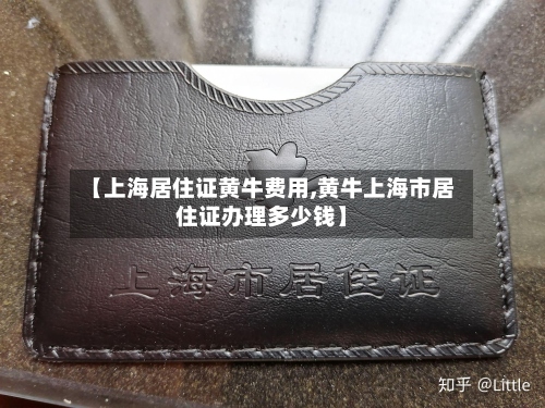 【上海居住证黄牛费用,黄牛上海市居住证办理多少钱】-第2张图片