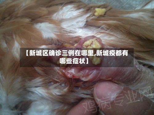 【新城区确诊三例在哪里,新城疫都有哪些症状】