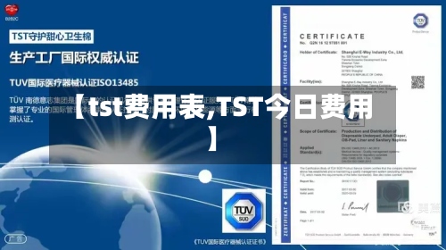 【tst费用表,TST今日费用】-第2张图片