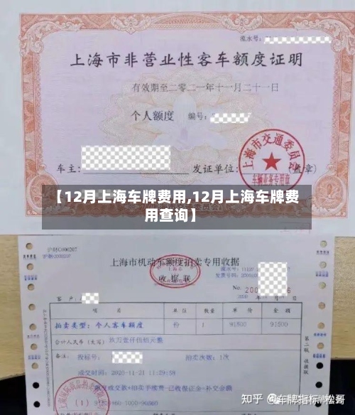 【12月上海车牌费用,12月上海车牌费用查询】