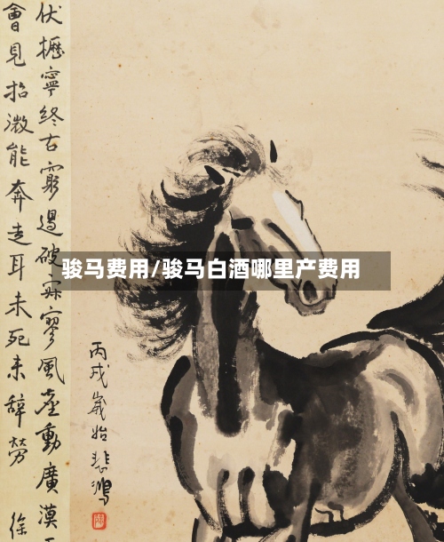 骏马费用/骏马白酒哪里产费用-第3张图片