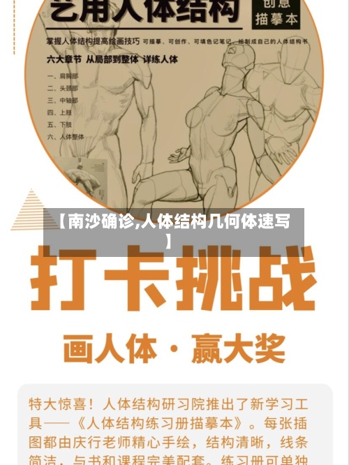 【南沙确诊,人体结构几何体速写】-第2张图片