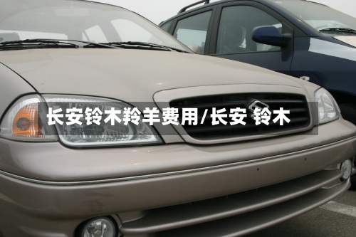 长安铃木羚羊费用/长安 铃木-第2张图片