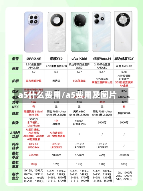 a5什么费用/a5费用及图片-第2张图片